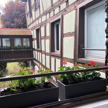 Ferienwohnung Quai Des Pecheurs - Vue Cathedrale Straßburg Exterior foto