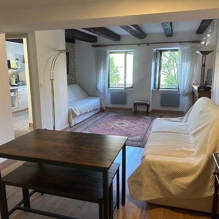 Ferienwohnung Quai Des Pecheurs - Vue Cathedrale Straßburg Exterior foto
